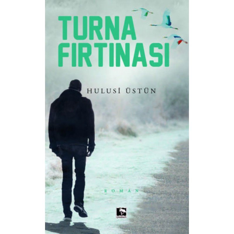 Turna Fırtınası (Ciltli)