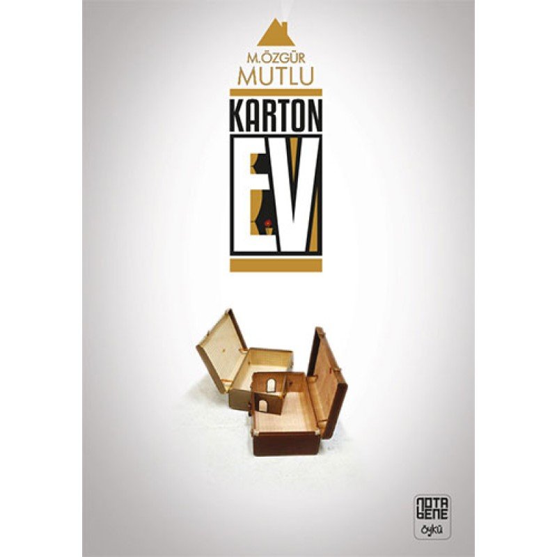 Karton Ev