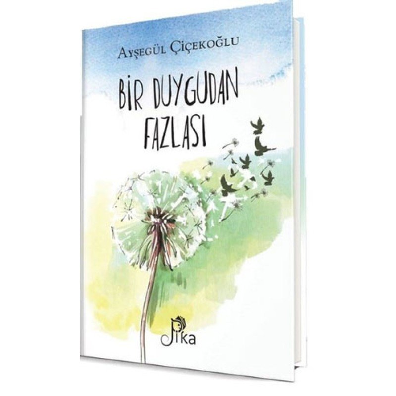 Bir Duygudan Fazlası