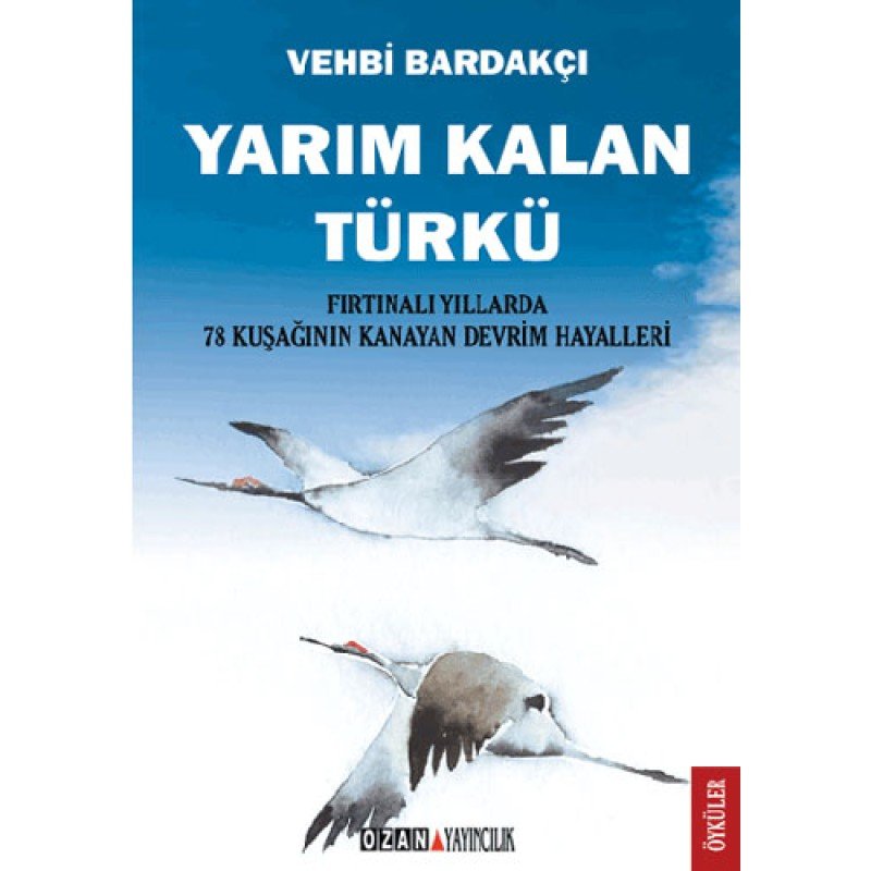 Yarım Kalan Türkü