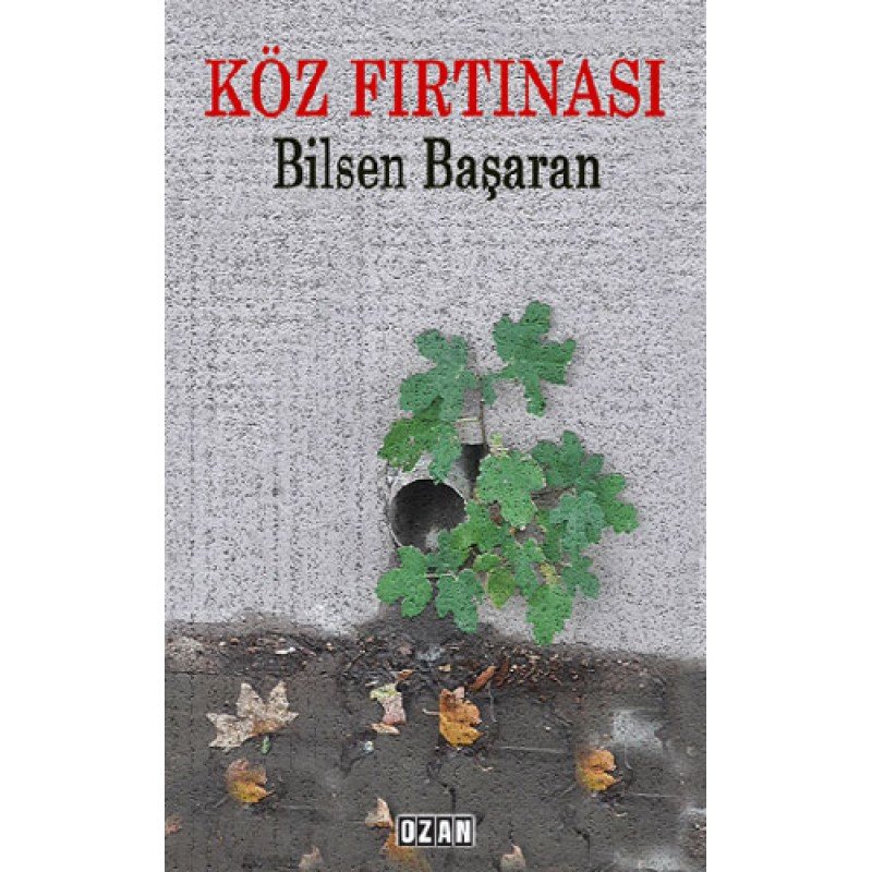 Köz Fırtınası