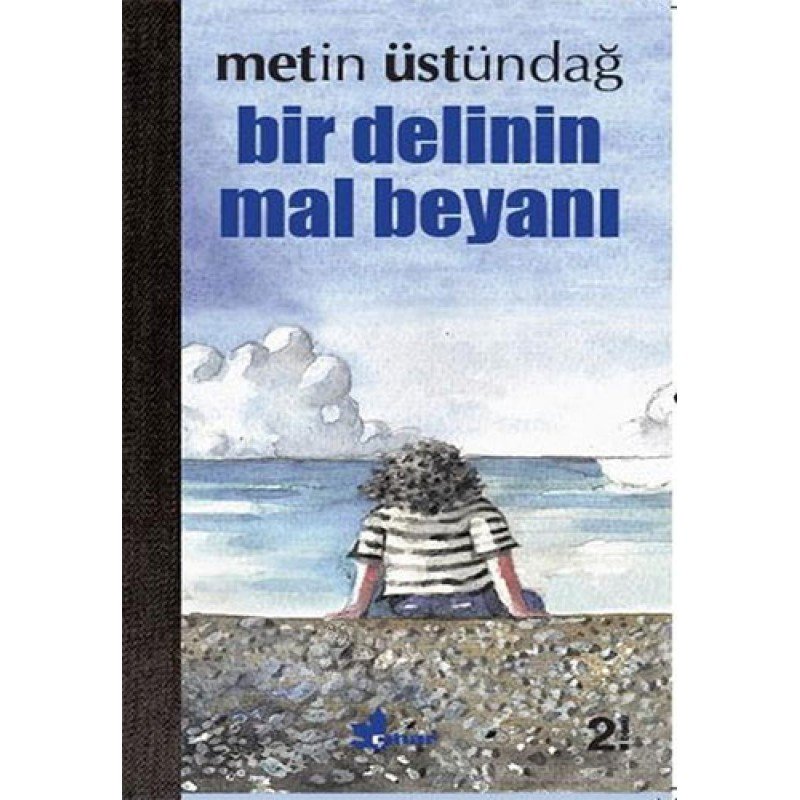 Bir Delinin Mal Beyanı