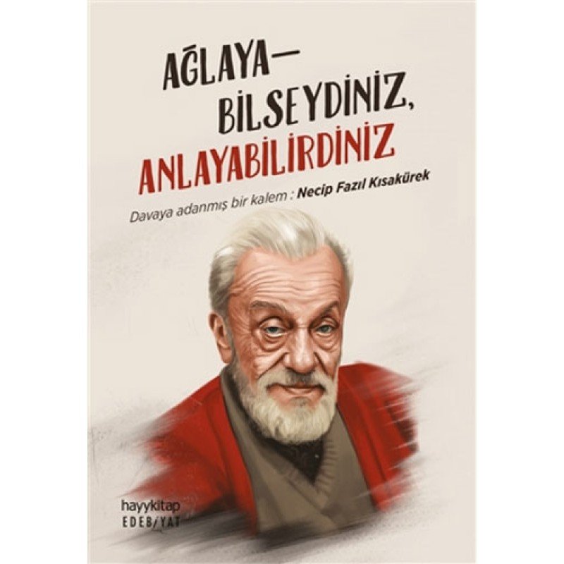 Ağlayabilseydiniz, Anlayabilirdiniz