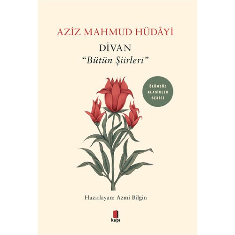 Divan - "Bütün Şiirleri"