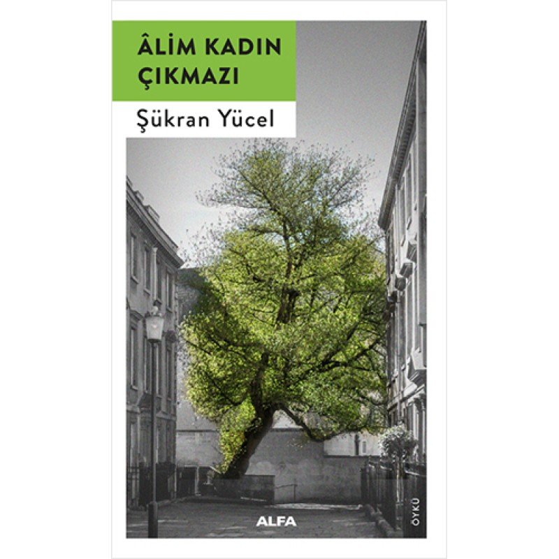 Alim Kadın Çıkmazı