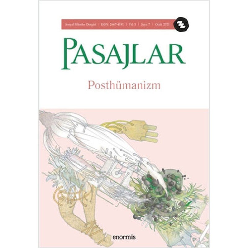 Pasajlar Sosyal Bilimler Dergisi Sayı: 7 Ocak 2021