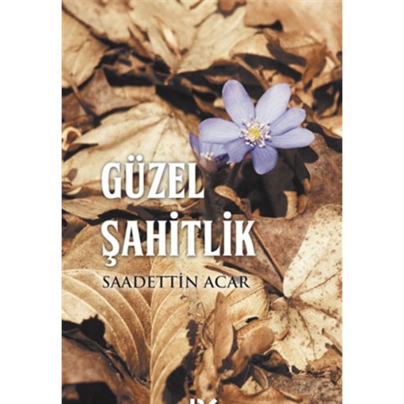 Güzel Şahitlik