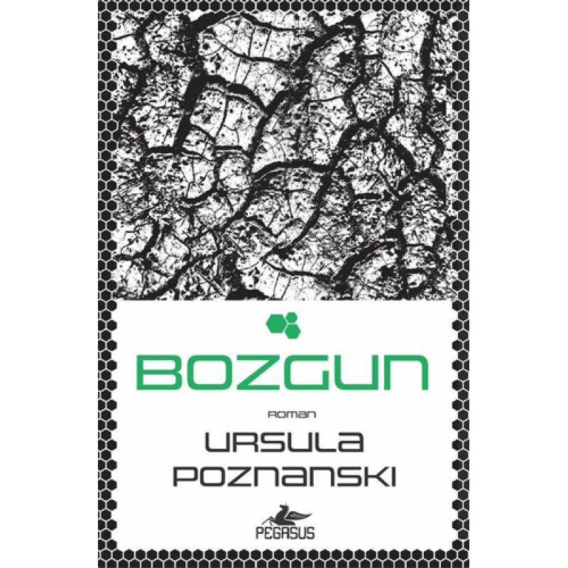 Bozgun