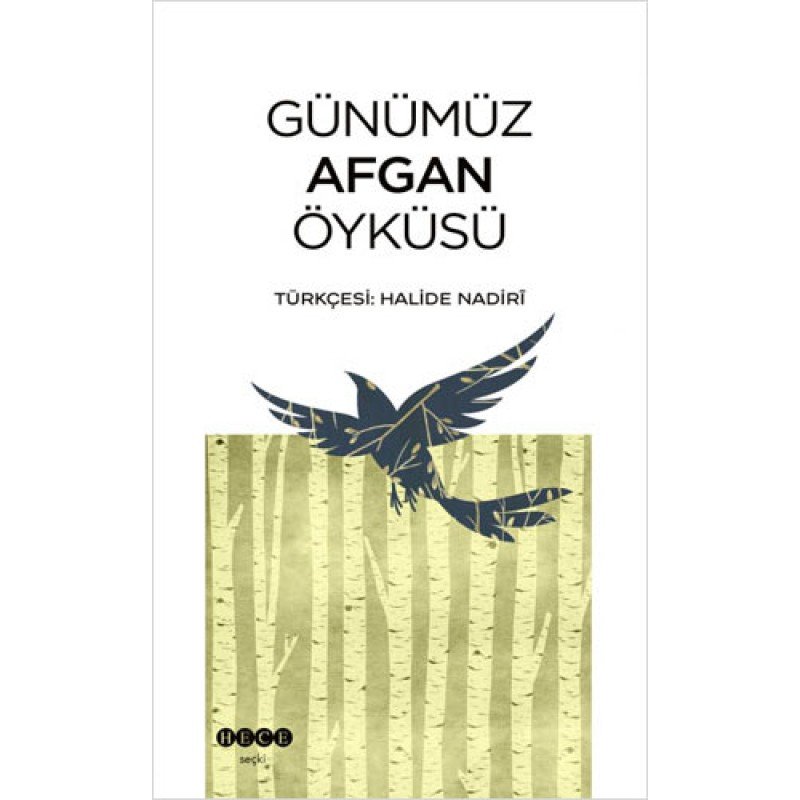 Günümüz Afgan Öyküsü