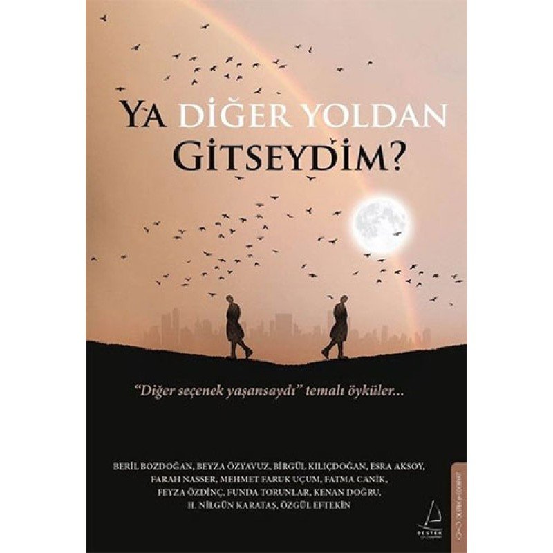 Ya Diğer Yoldan Gitseydim ?