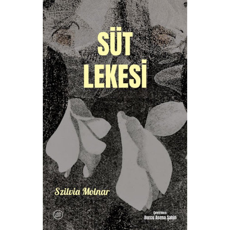 Süt Lekesi