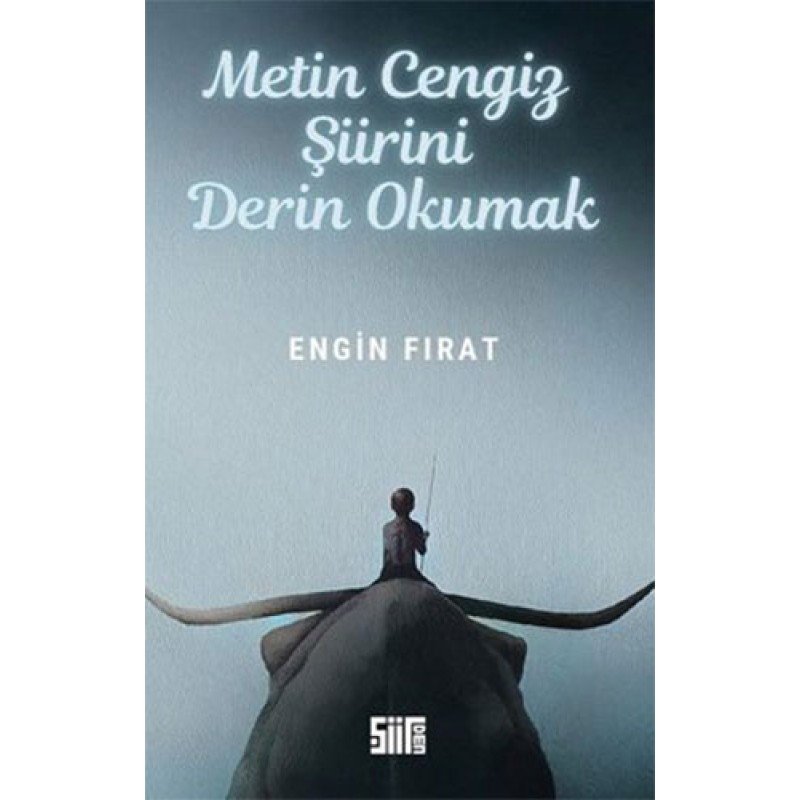 Metin Cengiz Şiirini Derin Okumak