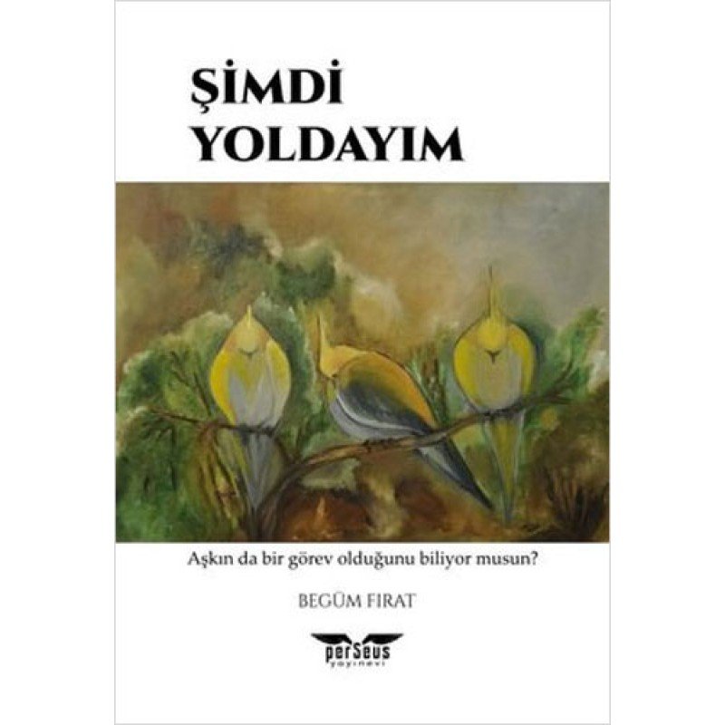 Şimdi Yoldayım