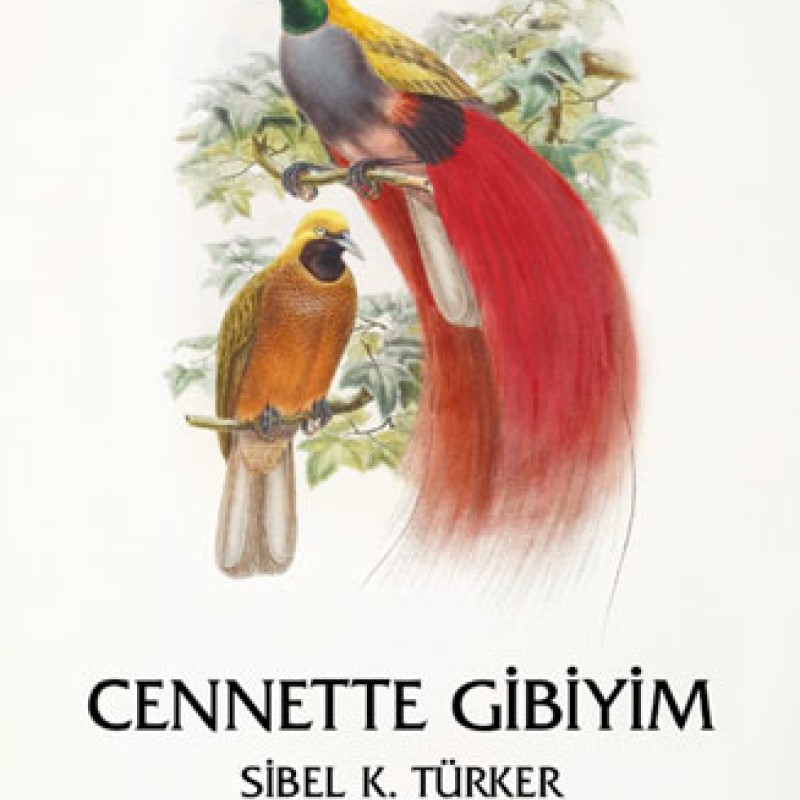Cennette Gibiyim