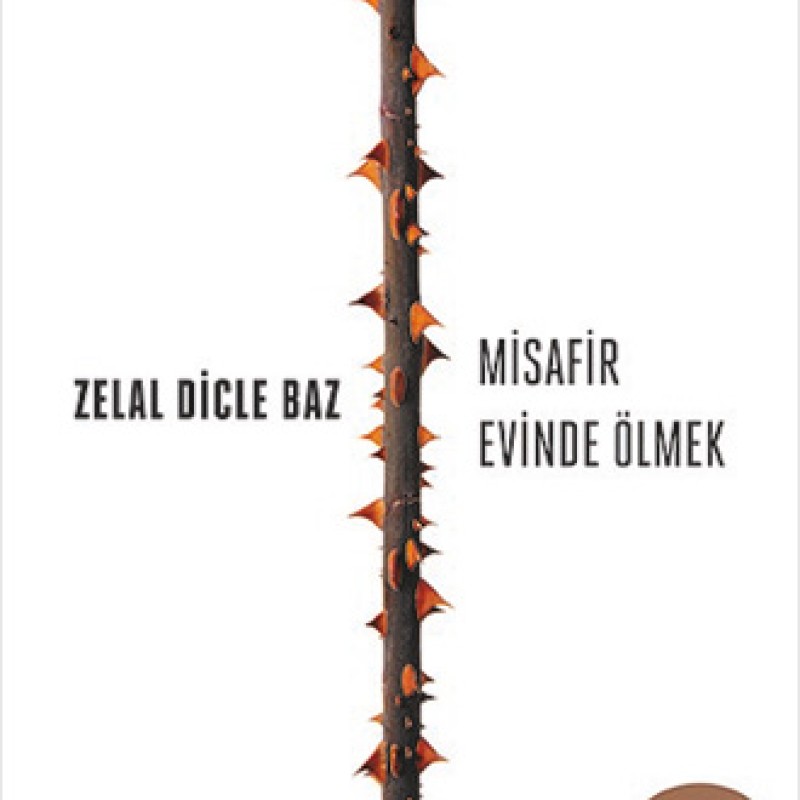 Misafir Evinde Ölmek